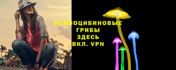 гашик Липки