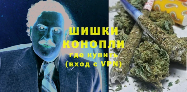 гашик Липки