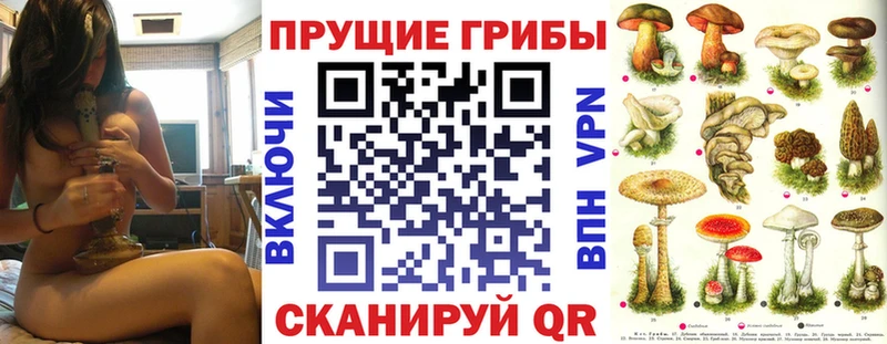 купить наркотики сайты  Мценск  блэк спрут зеркало  Галлюциногенные грибы GOLDEN TEACHER 